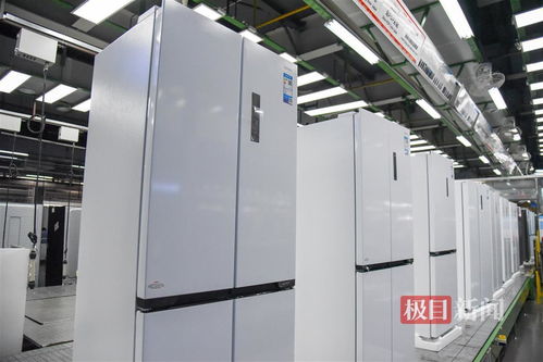 沿著長(zhǎng)江經(jīng)濟(jì)帶看中國(guó) 探秘全球最大單體冰箱生產(chǎn)基地